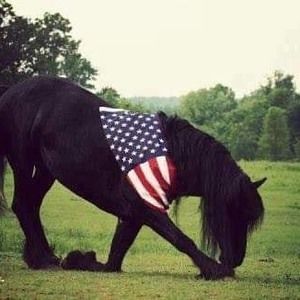 Meet your Posher, Nyla